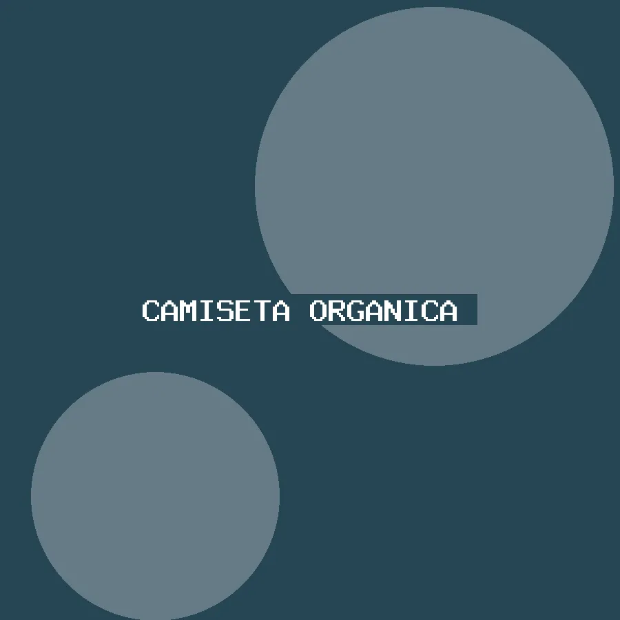 Camiseta orgánica esencial