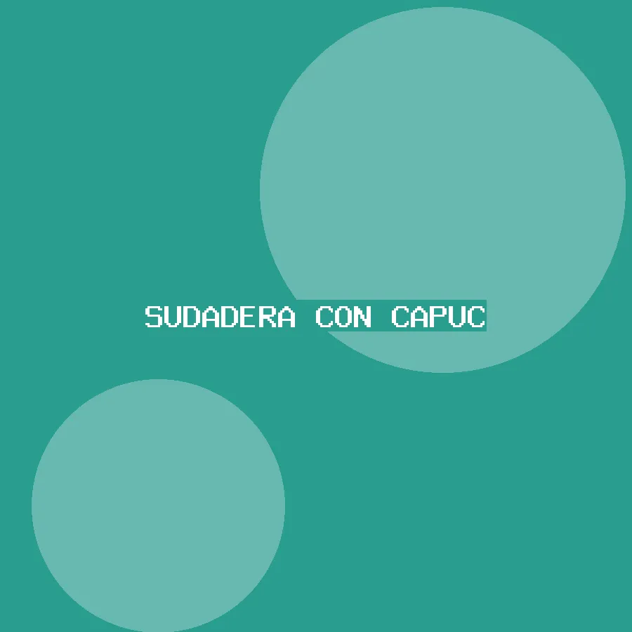 Sudadera con capucha